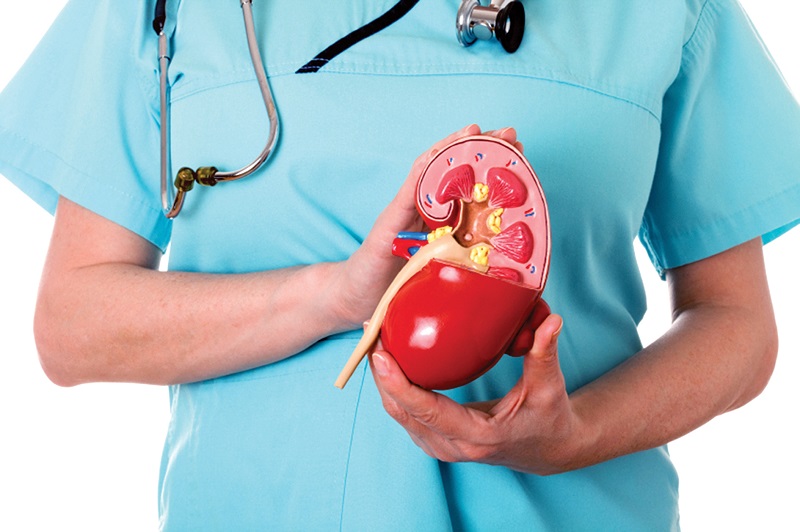 Giãn đài bể thận ở thai nhi là gì? (Ảnh: Sưu tầm Internet)