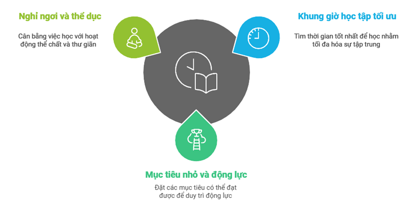 Các mẹo giúp lập kế hoạch ôn thi khoa học và hiệu quả. (Ảnh: Monkey)