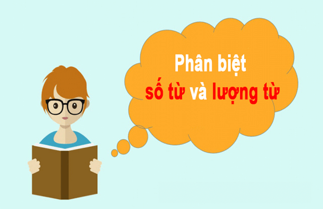 Bài tập về lượng từ. (Ảnh: Sưu tầm Internet)