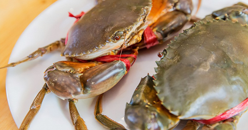 Cua là loại hải sản có hàm lượng canxi cao thúc đẩy quá trình phát triển của bé (Ảnh: Sưu tầm Internet)