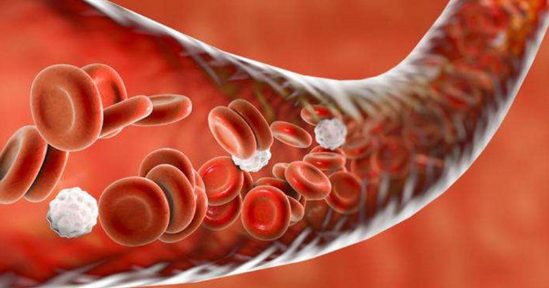 Tình trạng rối loạn đông máu vô cùng nguy hiểm đến tính mạng của sản phụ ( Ảnh: Sưu tầm Internet)