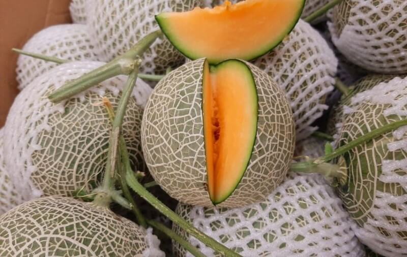 Chú ý đường vân giúp mẹ chọn được dưa lưới ngon. (Ảnh: Sưu tầm Internet)