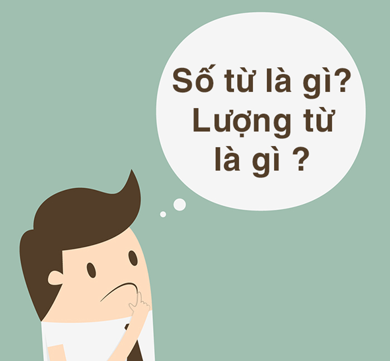 Cách phân biệt số từ và lượng từ. (Ảnh: Sưu tầm Internet)