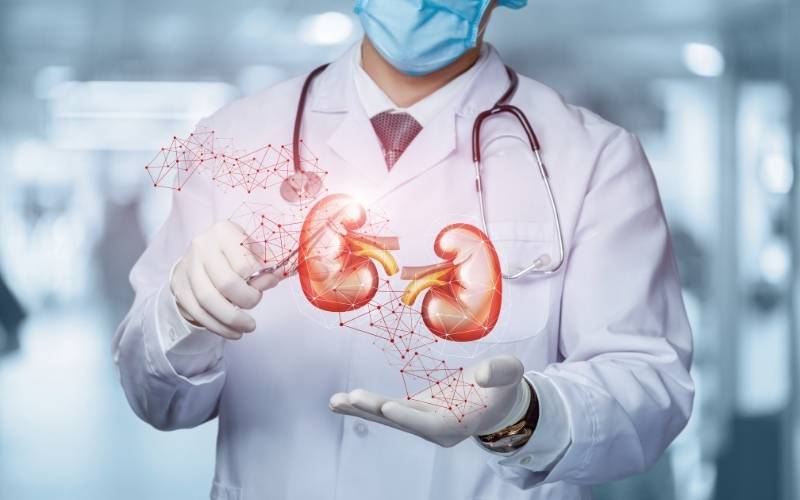 Một số nguyên nhân gây bệnh suy thận có liên quan đến di truyền.  (Ảnh: Sưu tầm Internet)