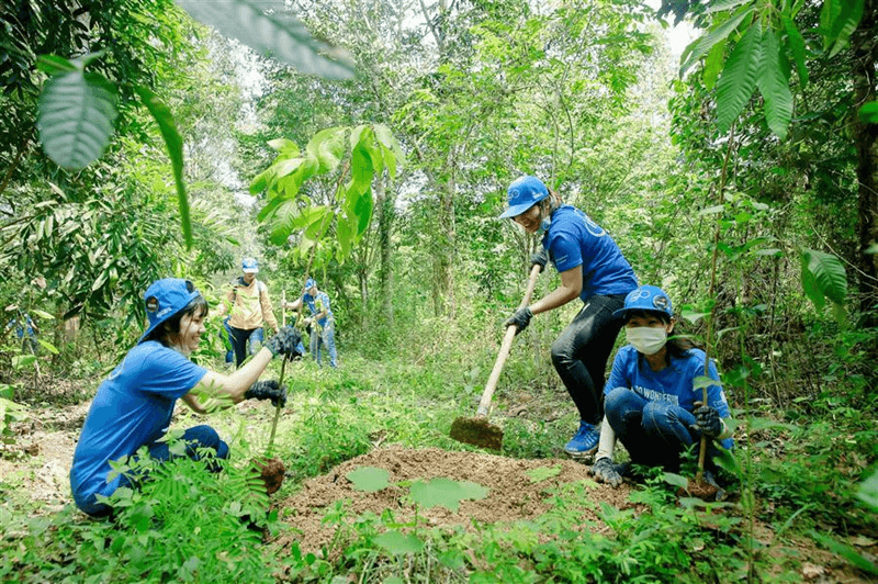 Mẫu tập làm văn bảo vệ môi trường rừng. (Ảnh: Sưu tầm Internet)