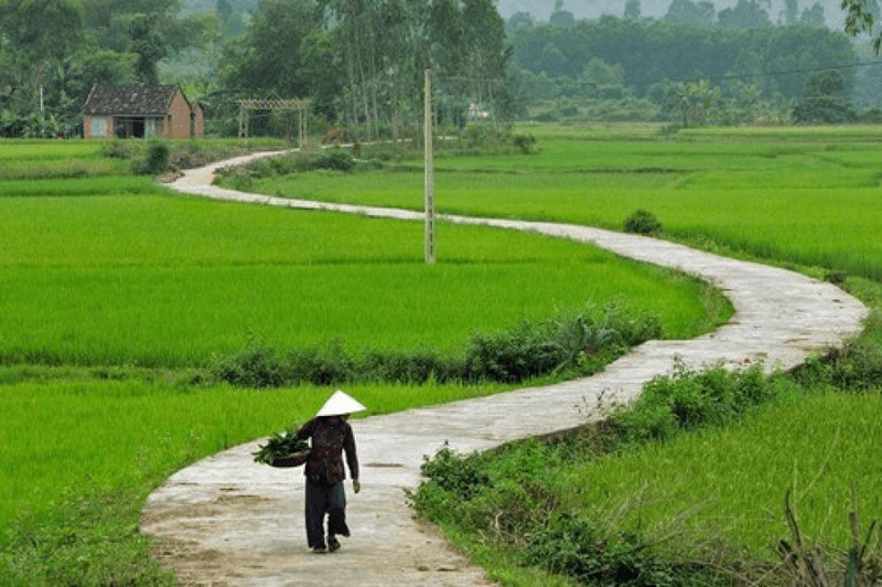 Tả con đường quen thuộc từ nhà đến trường. (Ảnh: Sưu tầm Internet)
