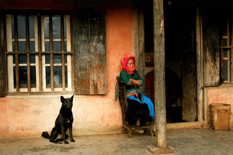 Người bạn đồng hành đáng yêu. (Ảnh: Sưu tầm Internet)