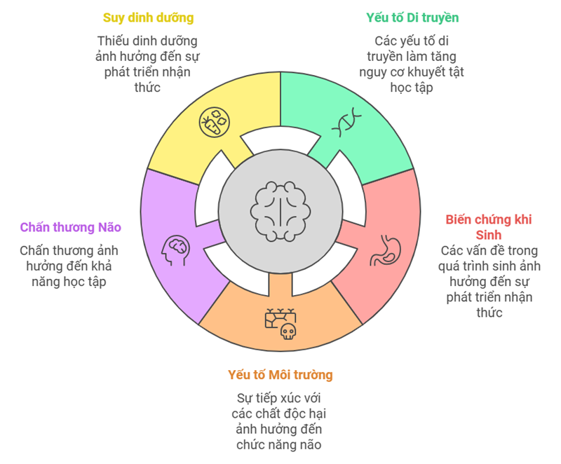 Nguyên nhân trẻ khuyết tật học tập. (Ảnh: Sưu tầm Internet)