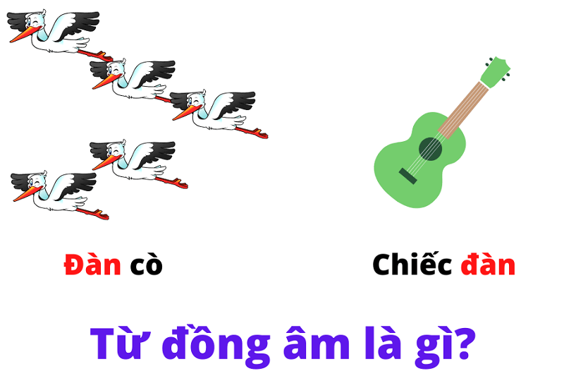 4. Sự khác biệt giữa từ đồng âm và từ nhiều nghĩa