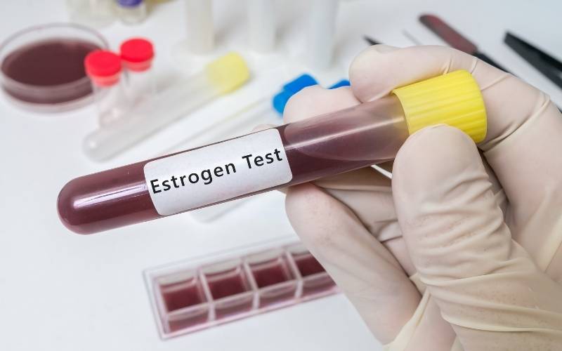 Chỉ số estrogen cao có nguy cơ bị ung thư vú. (Ảnh: Sưu tầm Internet)