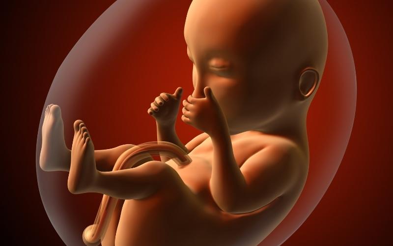 Thai nhi tháng thứ 9 phát triển rất nhanh. (Ảnh: Sưu tầm Internet)