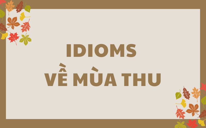 Một vài idioms về mùa thu trong tiếng Anh. (Ảnh: Sưu tầm Internet)