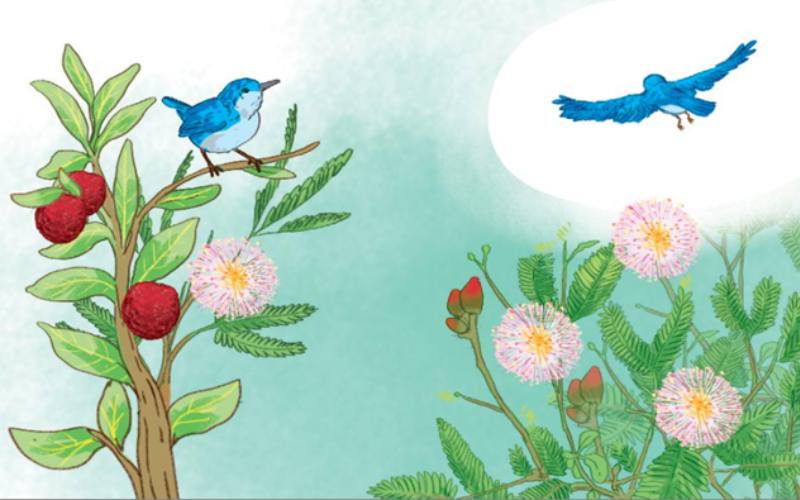 Cây xấu hổ nuối tiếc vì không được ngắm nhìn vẻ đẹp của con chim xanh. (Ảnh: Sưu tầm Internet)