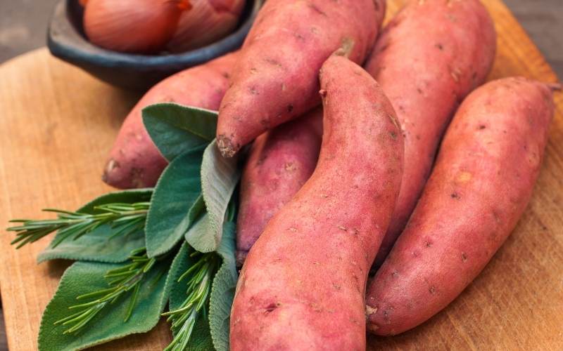 Khoai lang rất giàu dinh dưỡng, đặc biệt là chất xơ hòa tan. (Ảnh: Sưu tầm Internet)