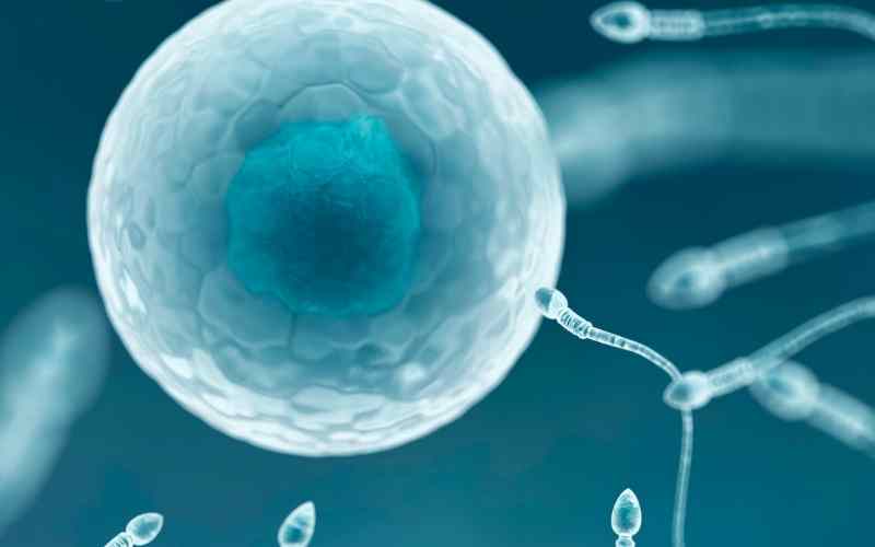 Tinh dịch đồ để kiểm tra chất lượng tinh trùng. (Ảnh: Sưu tầm Internet)