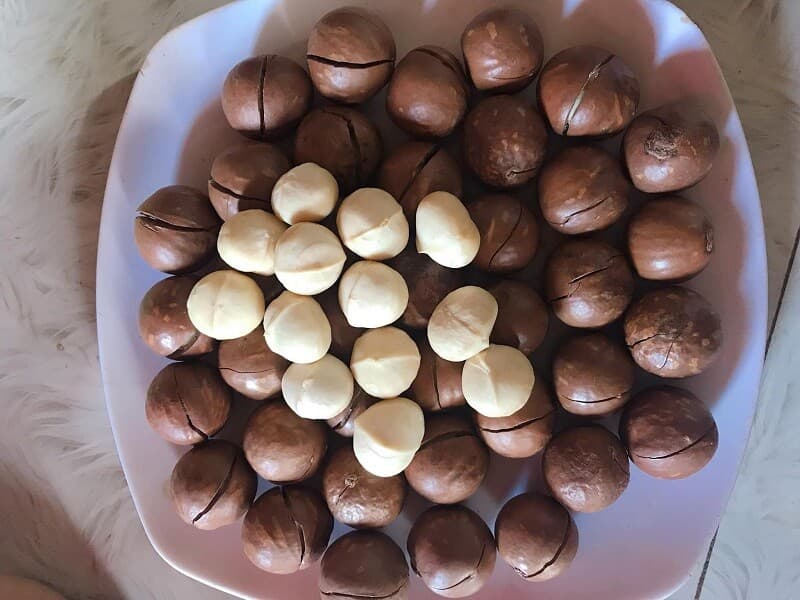 Sấy khô macca để bảo quản. (Ảnh: Sưu tầm Internet)