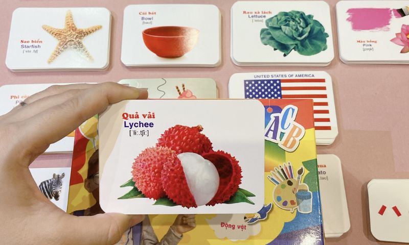 Thẻ học nhanh Flash Card giúp trẻ rèn luyện phản xạ, tư duy và ghi nhớ chính xác. (Ảnh: Sưu tầm Internet)