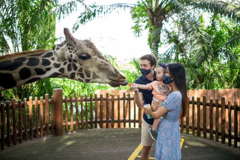  Đưa ra những phần thưởng thú vị khi bé học giỏi bảng chữ cái. (Ảnh: Sưu tầm Internet)