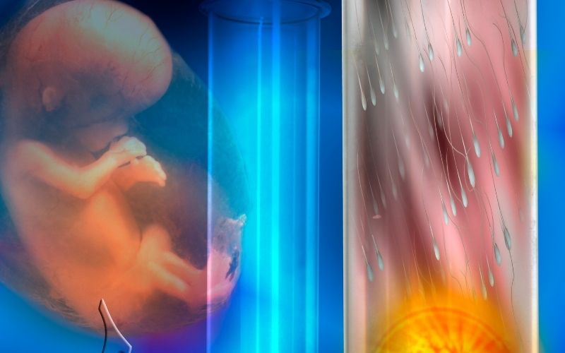 Trẻ được thụ tinh trong ống nghiệm. (Ảnh: Sưu tầm Internet)