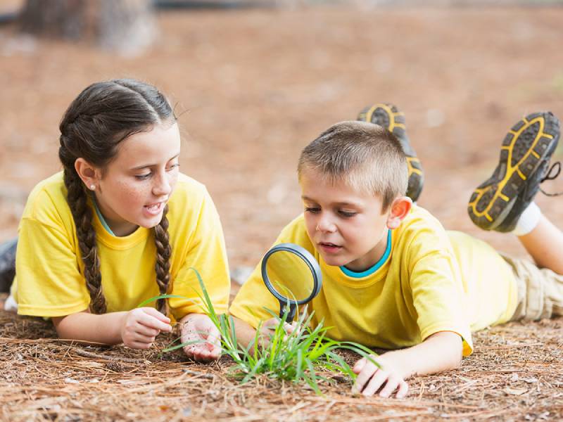 Kỹ năng giao tiếp với bạn bè thật sự quan trọng với các bé, đặc biệt ở lứa tuổi đi học. (Ảnh: Sưu tầm internet) 