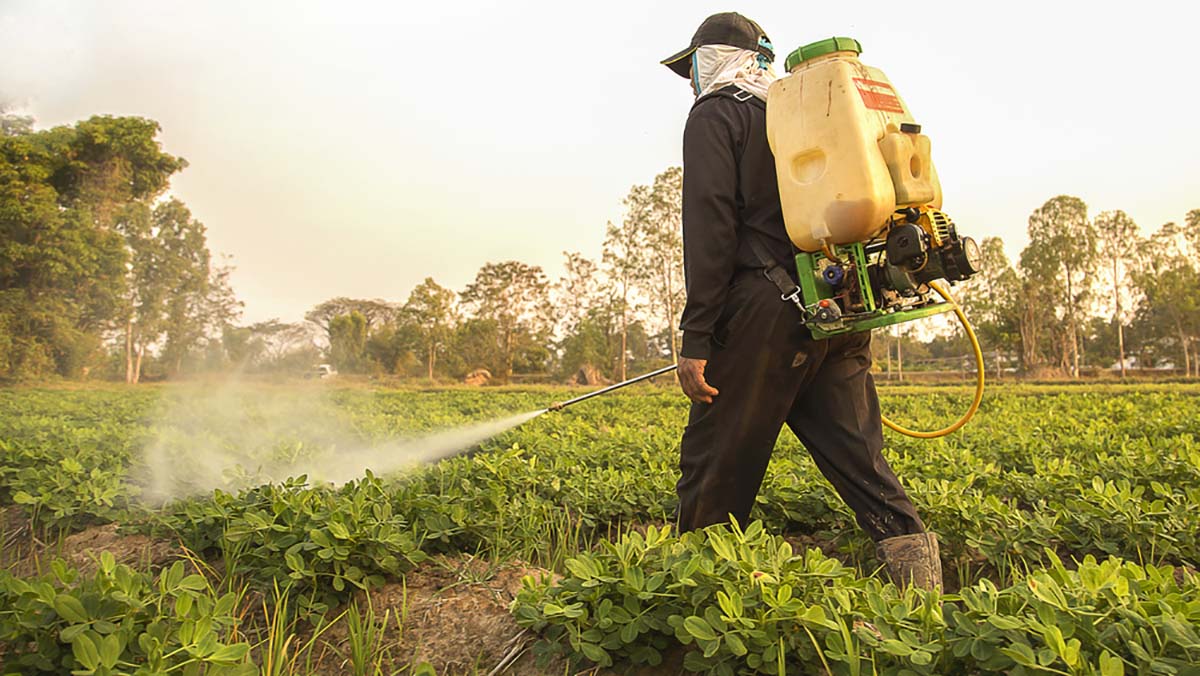 Mẹ nên tránh xa các loại thực phẩm không đảm bảo vệ sinh. (Ảnh: Sưu tầm Internet)