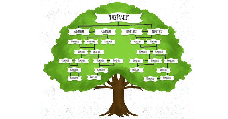 Mẫu 2: Sơ đồ tư duy đẹp cho học tập. (Ảnh: Sưu tầm Internet)