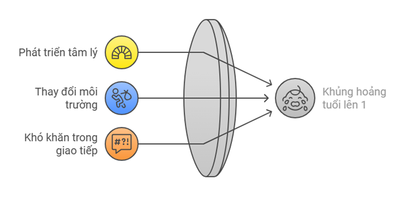 Nguyên nhân dẫn đến khủng hoảng tuổi lên 1 ở trẻ. (Ảnh: Sưu tầm Internet)