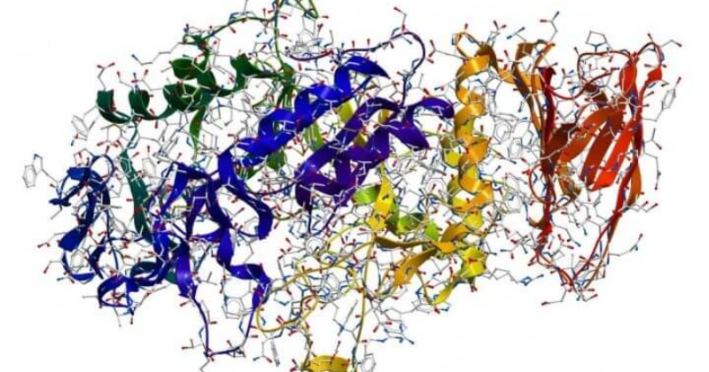 Có hơn 40 loại enzyme được tìm thấy trong sữa mẹ (Ảnh: Sưu tầm Internet)