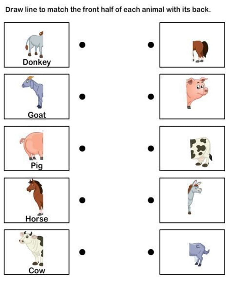 Bài toán nối vật. (Ảnh: Sưu tầm Internet)