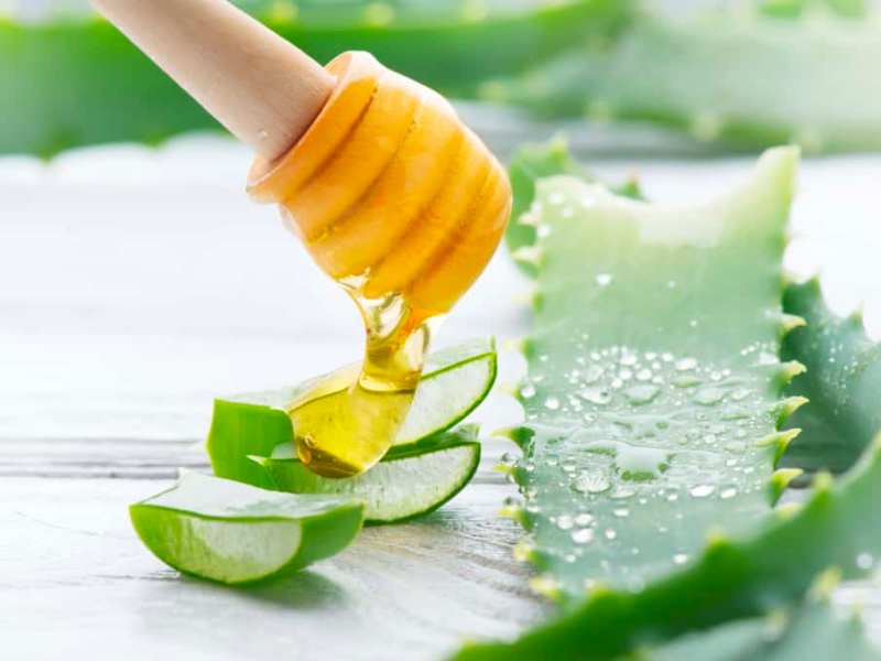 Nha đam và mật ong là hai thực phẩm chữa vết bỏng cực tốt (Ảnh: Sưu tầm internet)