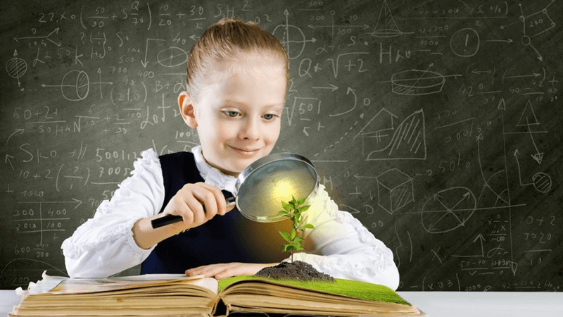 Hội chứng Einstein. (Ảnh: Sưu tầm Internet)