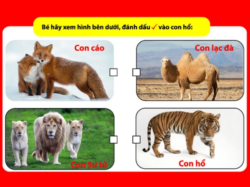 Lựa chọn một bức ảnh ứng với tên con vật. (Ảnh: mcbooks.vn)