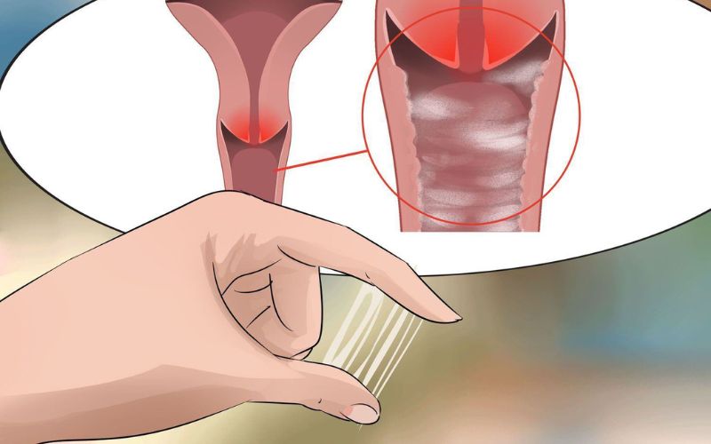 Dịch âm đạo tiết nhiều khiến mẹ bầu tăng ham muốn. (Ảnh: Sưu tầm internet)