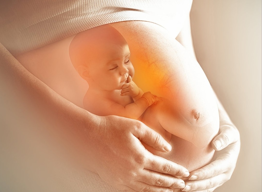 Thai nhi có thể gặp nhiều biến chứng nếu mẹ bị bệnh tim. (Ảnh: Sưu tầm Internet)