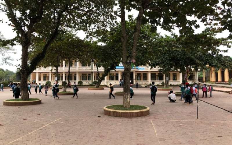Các em học sinh muốn sân trường có nhiều cây xanh. (Ảnh: Sưu tầm Internet)