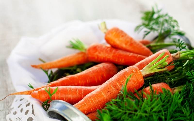 Cà rốt giàu chất xơ hòa tan, vitamin A và Vitamin C. (Ảnh: Sưu tầm Internet)