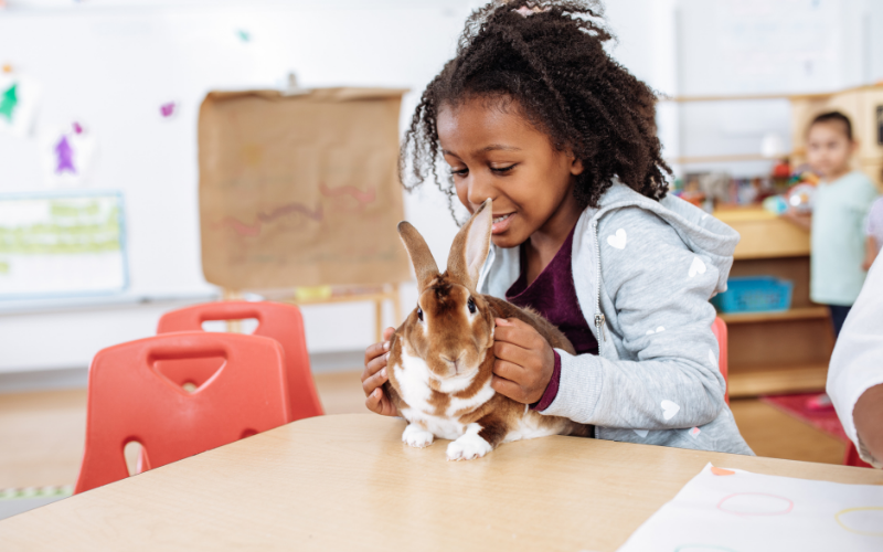 Điểm số không phải quan trọng nhất. (Ảnh: Canva.com)