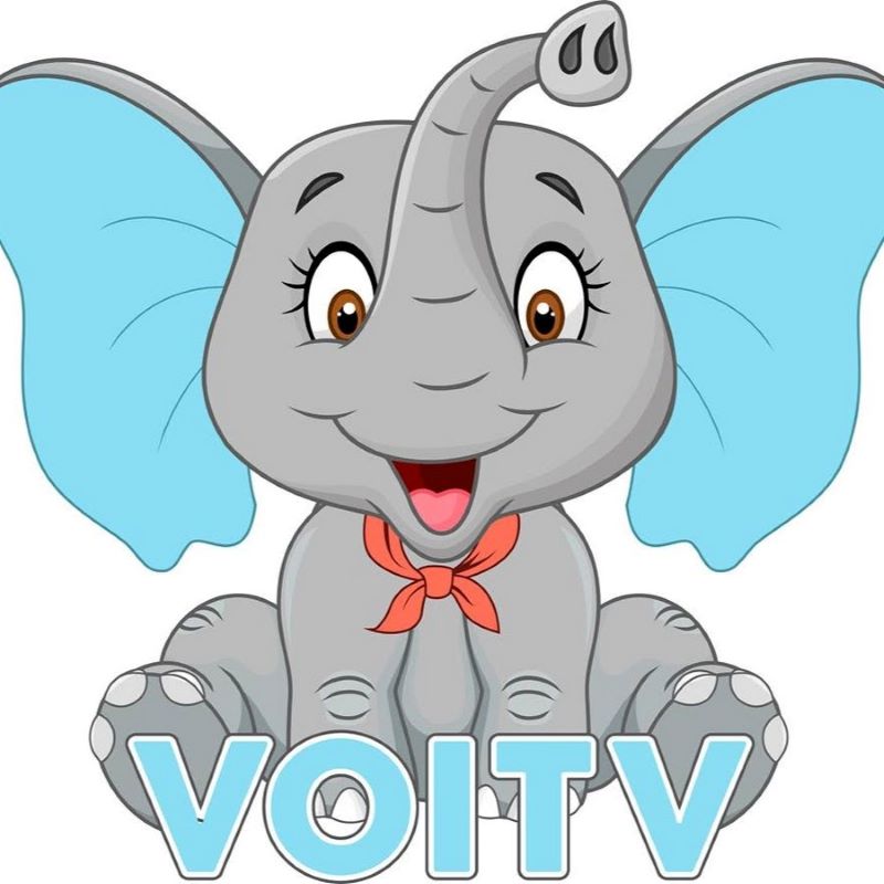 VOI TV. (Ảnh: Sưu tầm Internet)