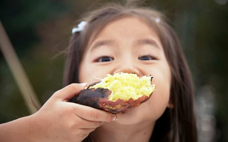 Ăn nhiều khoai lang cùng lúc có thể gây mất cân bằng dinh dưỡng. (Ảnh: Sưu tầm Internet)