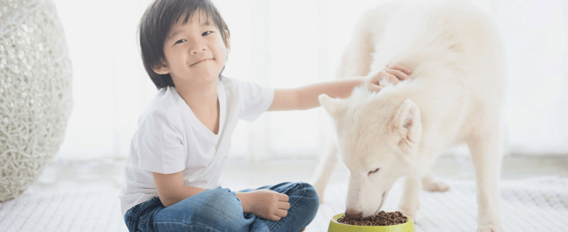 Cho trẻ tham gia nuôi thú cưng và trồng cây cảnh. (Ảnh: Sưu tầm Internet)