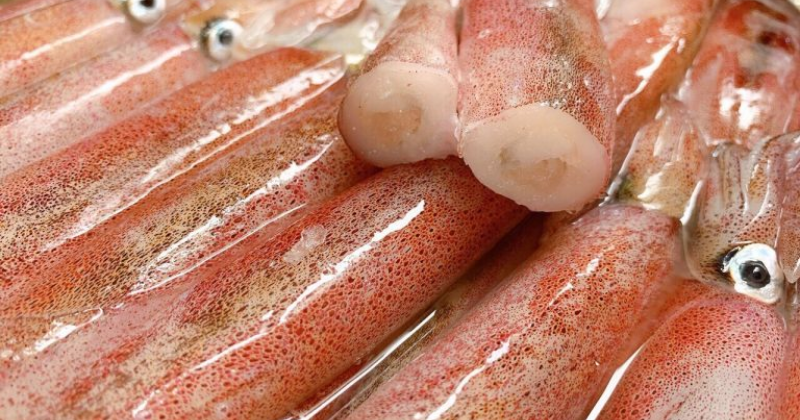 Mực chứa nhiều dưỡng chất tốt giúp bé tăng cường sức khỏe và sức đề kháng (Ảnh: Sưu tầm Internet)