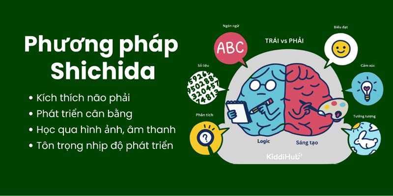 Phương pháp Shichida. (Ảnh: Kiddihub.com)