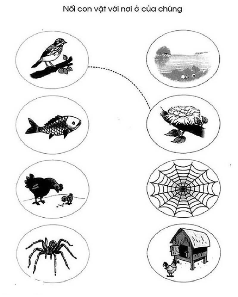 Bài tập tìm quy luật. (Ảnh: Sưu tầm Internet)
