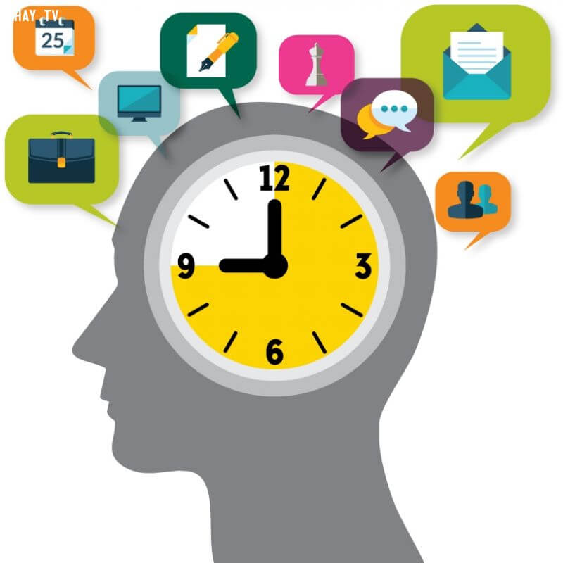 Phân bố thời gian hợp lý giúp con học tập hiệu quả hơn (Ảnh: Sưu Tầm Internet)