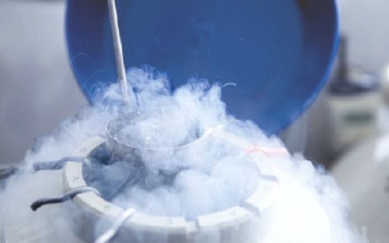 Phôi đông lạnh. (Ảnh: Sưu tầm Internet)