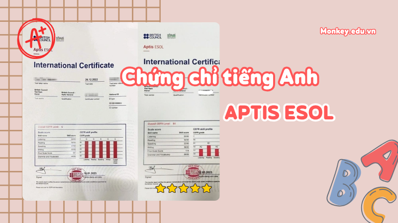 Chứng chỉ APTIS ESOL. (Ảnh: Sưu tầm Internet)