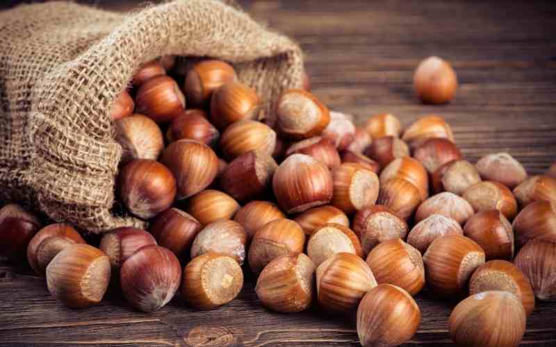 Hạt phỉ kháng viêm và giảm cholesterol xấu. (Ảnh: Sưu tầm Internet)