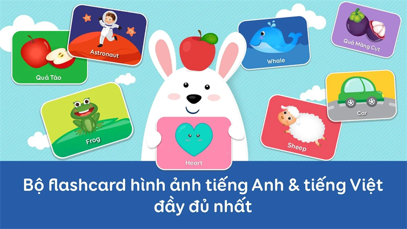 Học tiếng Việt qua flashcard. (Ảnh: Sưu tầm Internet)