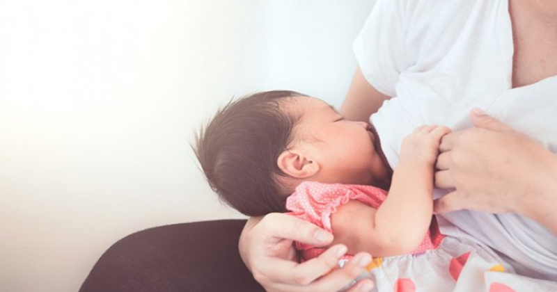 Các mẹ bỉm nên cân nhắc trước khi ăn cua để không ảnh hưởng đến sữa cho bé bú (Ảnh: Sưu tầm Internet)