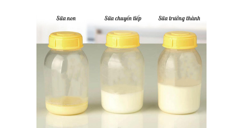 Các dạng chính của sữa mẹ (Ảnh: Sưu tầm Internet)